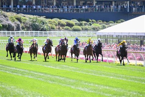 race results and dividends|Horse Racing Results .